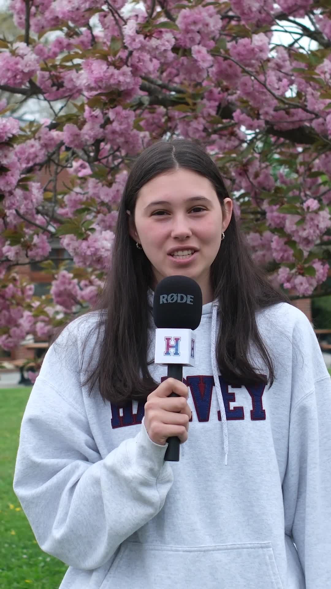 Private School in Katonah, Westchester County, NY - Harvey School