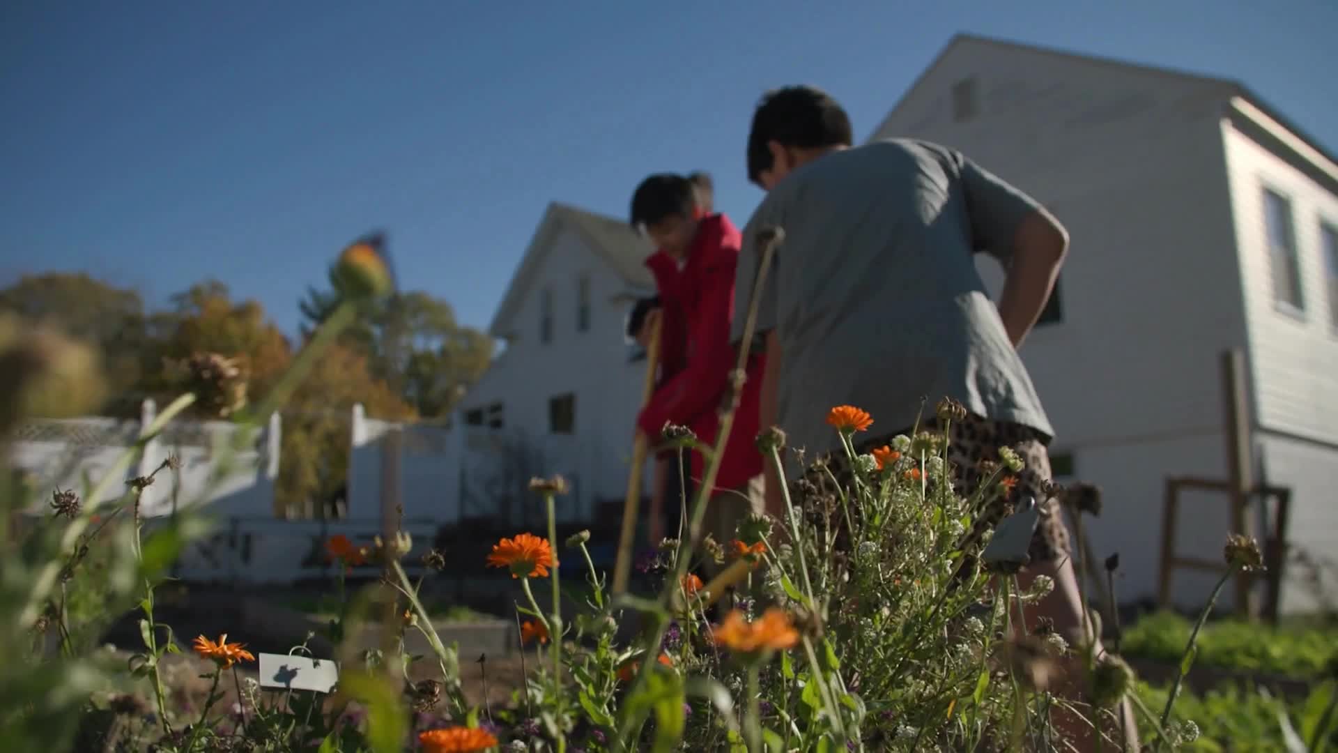 Hillside School Farm and Garden